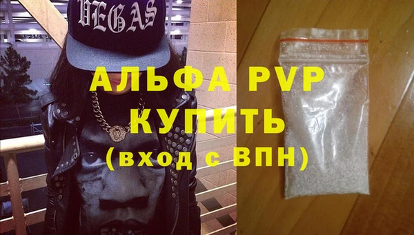 стафф Арсеньев
