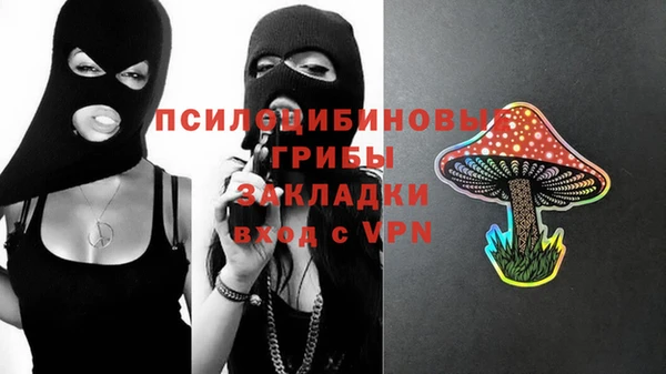 стафф Арсеньев