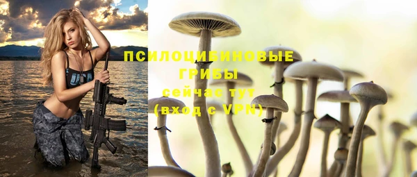 круглые Аркадак
