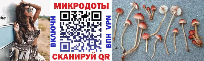 Псилоцибиновые грибы GOLDEN TEACHER купить Багратионовск